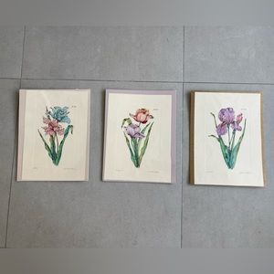 🎁 Set of 3 vintage botanical illustrations - drawings prints